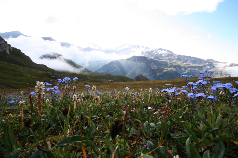 bergwandelen de Berghut Rauris Oostenrijk