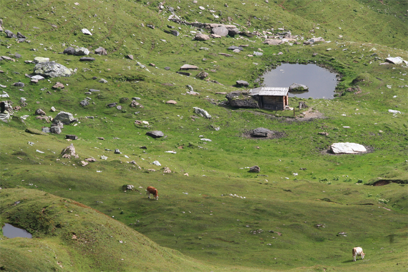 bergwandelen Eidelweissspitze Hirzkarkopf de Berghut Rauris Oostenrij