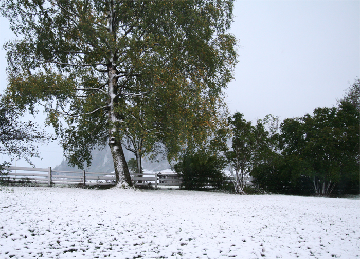 sneeuw in de Berghut Rauris Oostenrijk kindvriendelijk