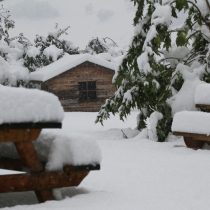 Sneeuw op komst: tijd voor ons winterprogramma!