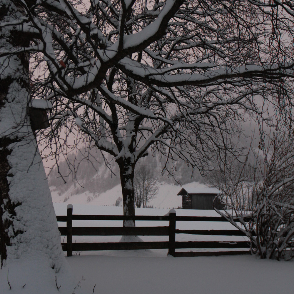 vierkant winterfoto