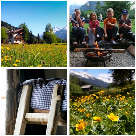 vakantie, met kinderen, in de bergen, Oostenrijk, actieve zomervakantie, de Berghut, Rauris, Zell am See