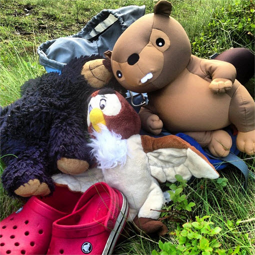 wildkamperen in Oostenrijk bij de Berghut 1