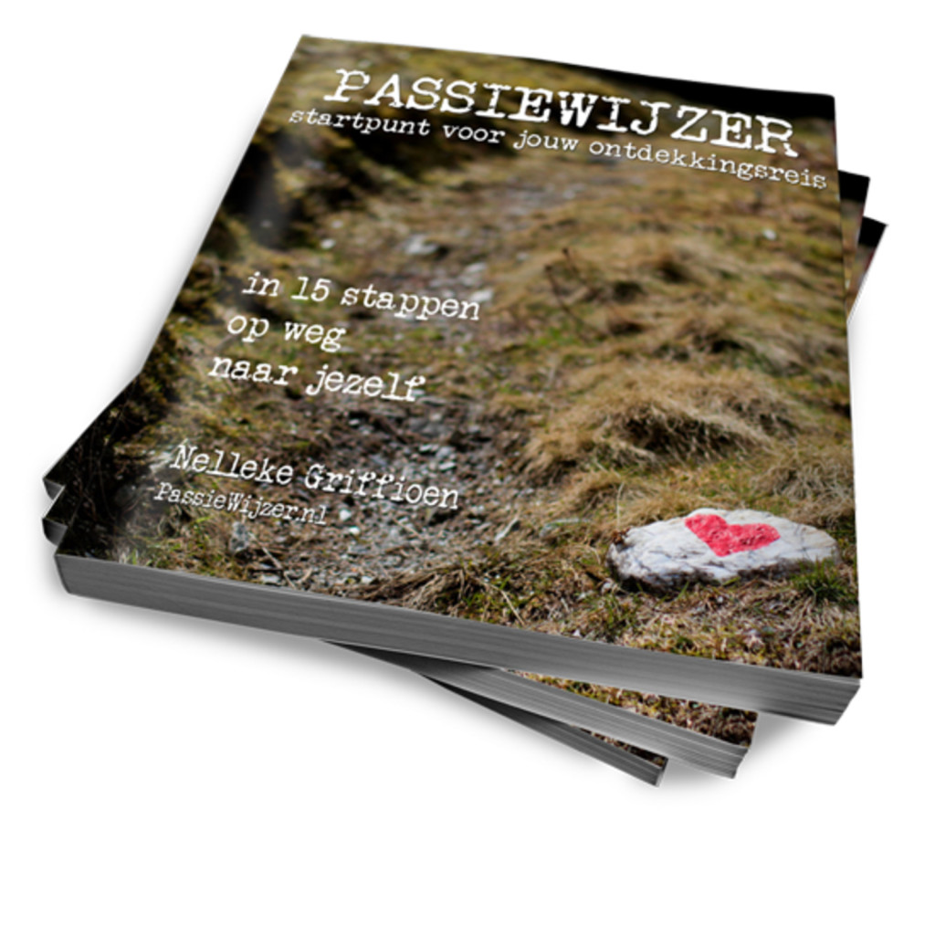 eBookcover de PassieWijzer.nl