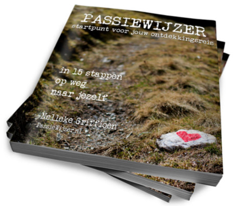 gratis eBook de PassieWijzer volg je hart cursus loopbaancoach online ecours workshop