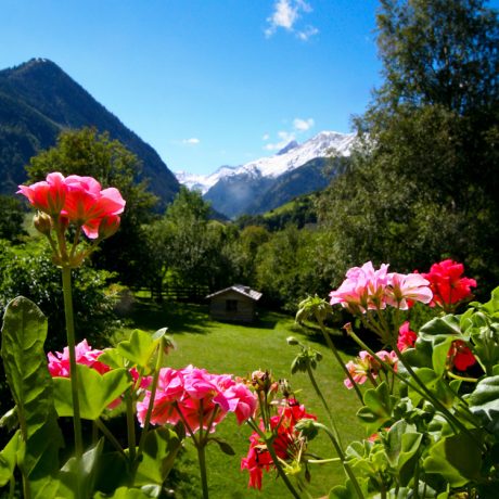 de Berghut appartementen zomervakantie kindvriendelijk vakantiewoningen Rauris Oostenrijk Salzburgerland (7)