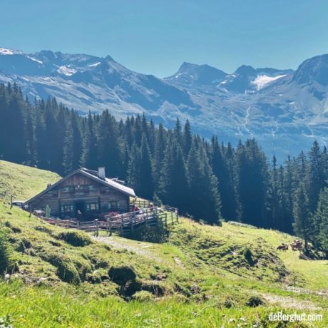 alm Oostenrijk Raurisertal kindervriendelijke appartementen de Berghut.com Panoramaalm