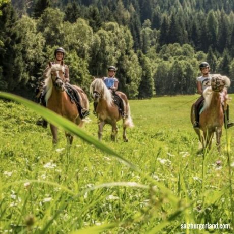 de Berghut appartementen zomervakantie kindvriendelijk vakantiewoningen Rauris Oostenrijk Salzburgerland Paardrijden reiten