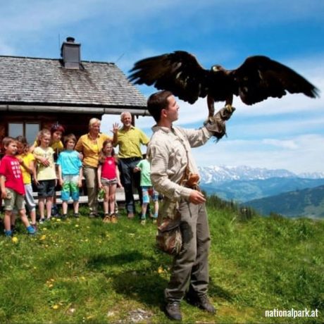 de Berghut appartementen zomervakantie kindvriendelijk vakantiewoningen Rauris Oostenrijk Salzburgerland Roofvogelshow